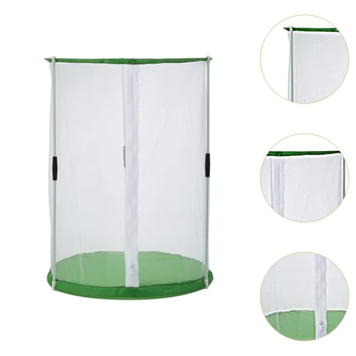 Cage à papillons en polyester pour observer la métamorphose des insectes à la maison - 4