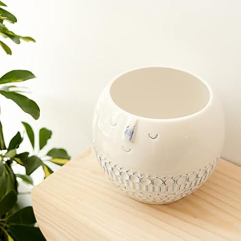 Jarrón Smile | Cerámica pintada a mano para plantas y flores Cover