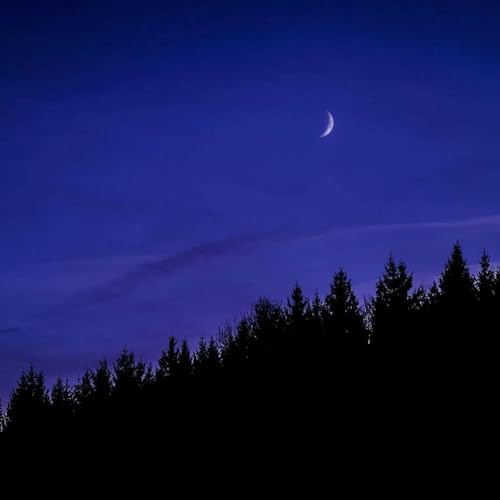 Moonletter May 2026