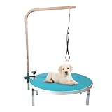 Mesa Peluqueria Canina Redonda 60 * 15cm, Rotación de 360 Mesa de Peluquería para Mascotas, Brazo Acicalador Ajustable, para Perros y Gatos(Green)