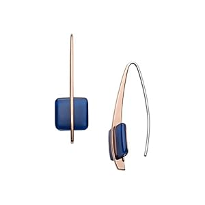 Skagen Women’s Stainless Steel Ear...