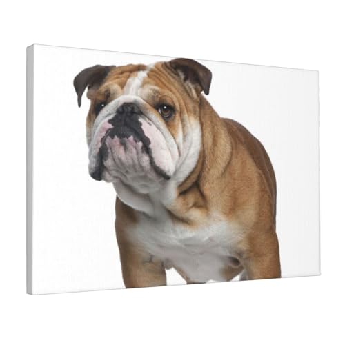 Toile bouledogue anglais décoration murale moderne pour salon et bureau