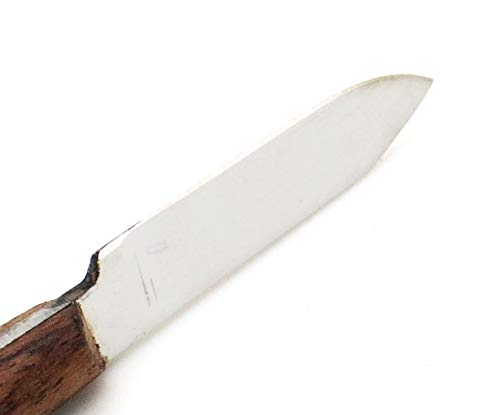 Miniatura 6 de 3× Dental fahenstock grande mezcla cuchillo espátula modelado alginate Carver Restaurativa Lab Instrumento