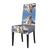 YYHWHJDE Protection cover for dining chair Snowy Mountain White Tiger Prints - Soft, Comfortable, Needed Stretchable for Most Armless Chair