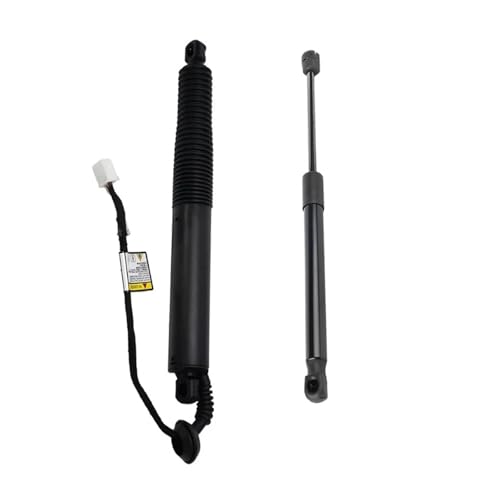 Support de hayon électrique arrière résistant aux vibrations pour Tesla Model 3 2021