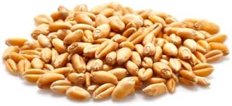 Yupik Organic Wheat, 1 kg, Non-GMO, Vegan, Kosher, Raw Whole Grains, Salt-Free, Oil-Free, Source of Fiber, Sprouts Easily, Ideal for Baking & Cooking — view 3