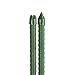 Produktbild bellissa 5 Stück - Hochwertige Pflanz-Stangen - Rank-Stab für Pflanzen  Rankhilfe Kletterhilfe aus Kunststoff grün (150cm - Ø 11mm)