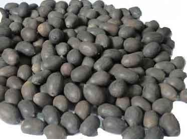 Kamal Gatta - Natural Raw Lotus Seed - for Laxmi Havan & Pujan - 108 Seeds - Kamal Gatta Seed (B0CDJ9NWKQ) Amazon Price History, Amazon Price Tracker