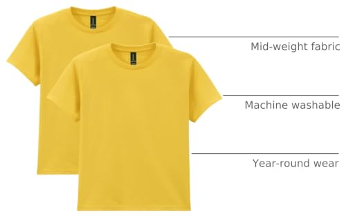 Image of Gildan Unisex-Child Gildan Youth Heavy Cotton T-Shirt, Style G5000b, 2-Pack