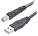 Belkin (F3U133b10) Hi-Speed USB A/B Cable, USB Type-A and USB Type-B (10 Feet)