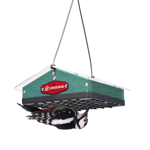Kingsyard Upgraded Upside Down Suet Feeder for Outside Hanging - Recycled Plastic Wild Bird Feeder with Rainproof Roof for Attracting Woodpeckers Nuthatches Chickadees Finches. Green