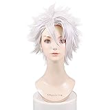 鬼滅の刃 不死川実弥 風 ウィッグ キャラウィッグ 美容師セット済 耐熱 cospedia製