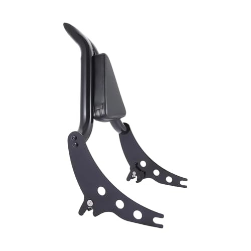 Dossier de moto ergonomique pour soulager le dos sur Breakout FXSB FXBR