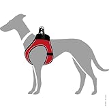 HUNTER Hundegeschirr HILO COMFORT, Farbe: orange, Easy Step-In Geschirr für kleine bis mittlere Hunde, mit Netzmaterial, reflektierende Elemente, angenehm leicht, modernes Design Größe: XS