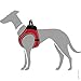 HUNTER Hundegeschirr HILO COMFORT, Farbe: orange, Easy Step-In Geschirr für kleine bis mittlere Hunde, mit Netzmaterial, reflektierende Elemente, angenehm leicht, modernes Design Größe: XS