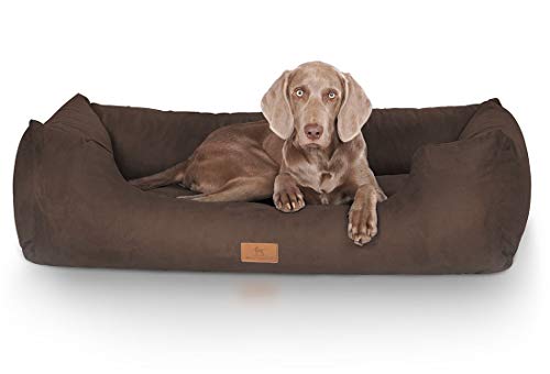 Knuffelwuff Lit pour Chien Dreamline XXL 120cm x 85cm...