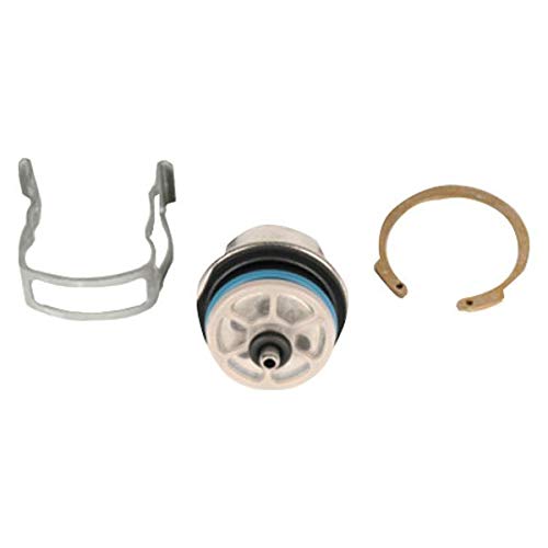 image for GM Genuine Parts 19210686 Fuel Injection Pressure Regulator Kit with R