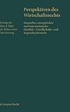 Perspektiven des Wirtschaftsrechts (German Edition)