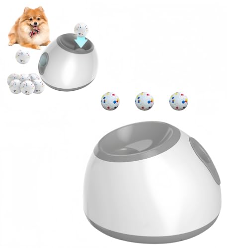 Ziuuihu {[`[,{[ `[̌P̂̃Q[ ^E^pejX{[@ O3̃MA߉\ȋ3m/6m/9mC^NeBuhbOeB[U[gC IWF (O[)