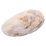 Idéal pour divers environnements : idéal pour la maison, la vente au détail et les environnements photographiques, il met en valeur le charme personnel et ajoute de l'intérêt à la vie quotidienne, plat à bijoux en coquillage, plat à bijoux en coquillage