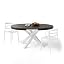 Dark Walnut With White Legs