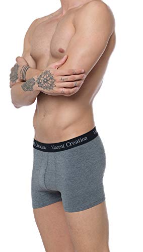 Men’s Boxer Briefs ( Pack of 6 ) Boxer shorts Soft Cotton Trunks (L, Grey)