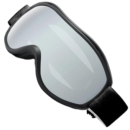 Lunettes de ski double couche anti-buée de haute précision pour snowboard