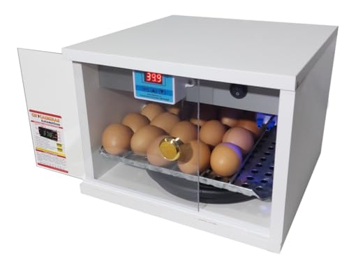 Chocadeira Automática 20 a 30 Ovos 110 Volts