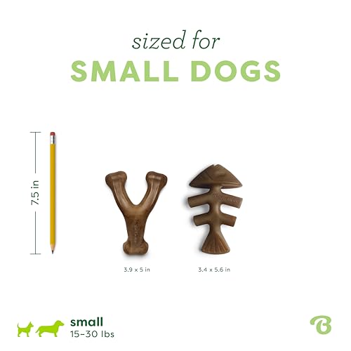 Image of Benebone 2 Count Fishbone /Wishbone Durable Dog Chew Toys, Dog Bones, Small (Pack of 10)