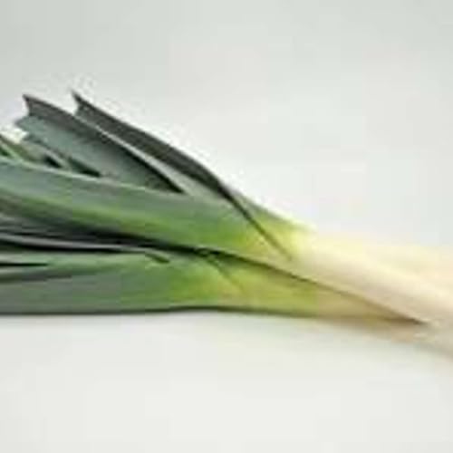 Poireaux farcis au magret fum&eacute;