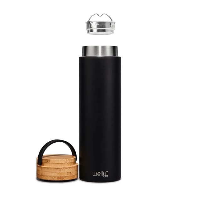 Amazon.com: Welly: Traveler