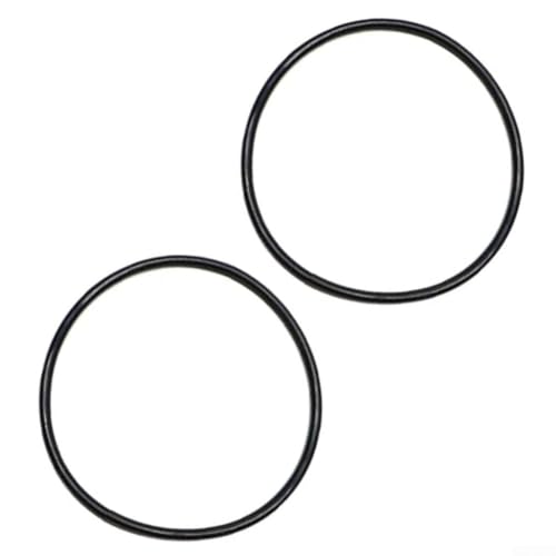 Juego de 2 sellos de repuesto O para anillo 354533 para Pentair para bomba de piscina StaRite compatible con modelos Dynamo Sea Horse