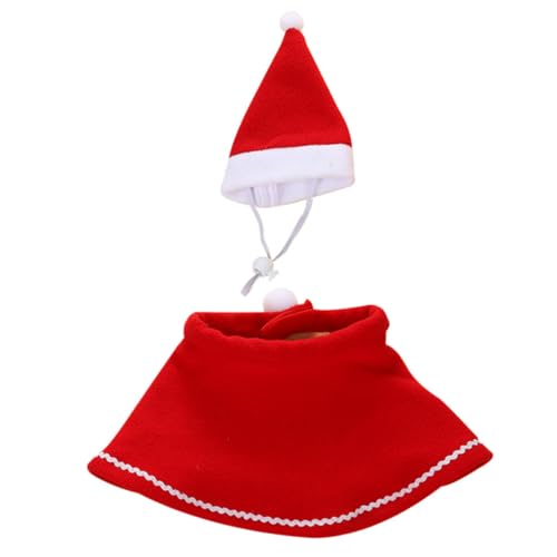 ABOOFAN ybgpNX}XXqƃP[v Lp RXvߑ hKf NX}Xp[eB[₨j