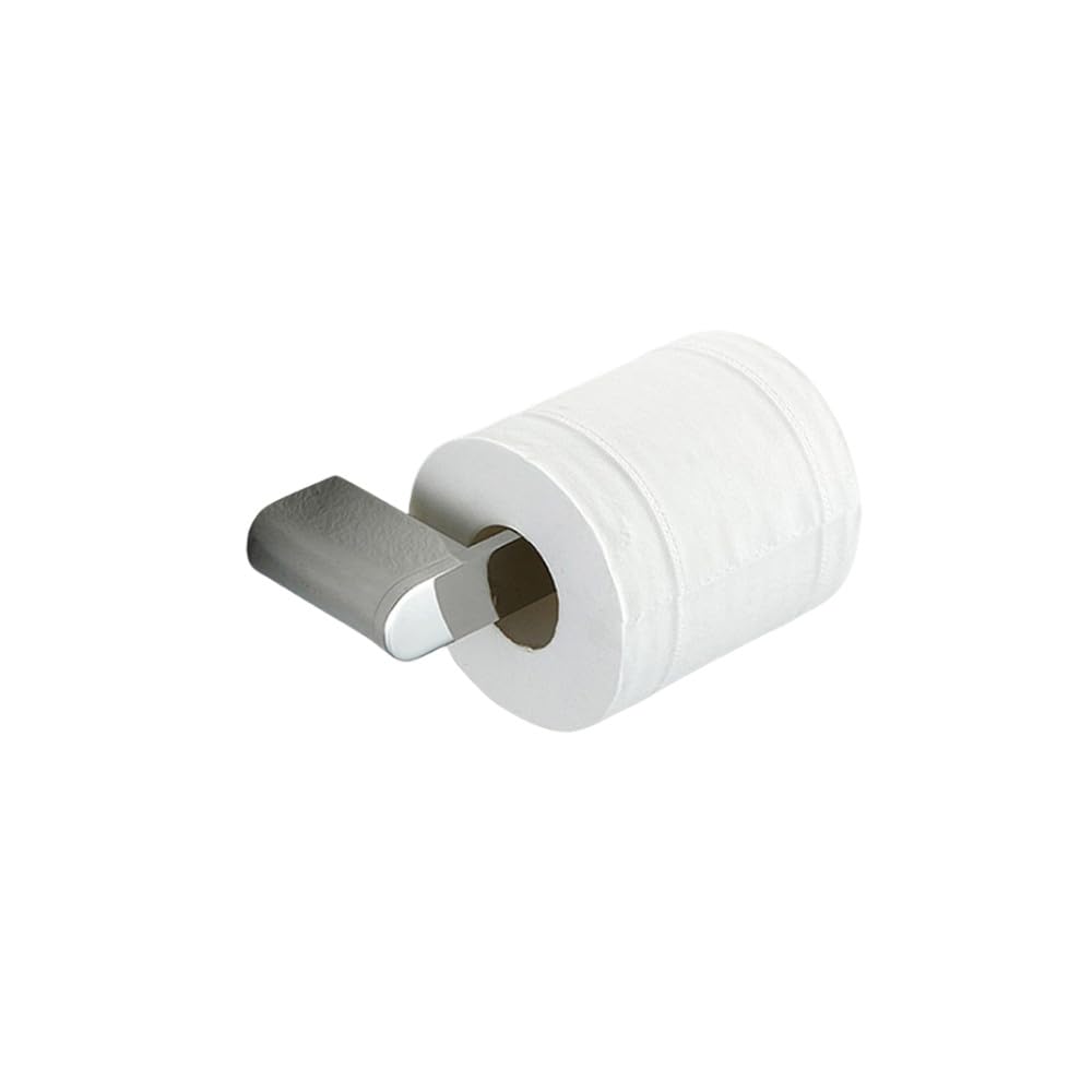 Brosse de toilette miroir poli pour une salle de bain moderne