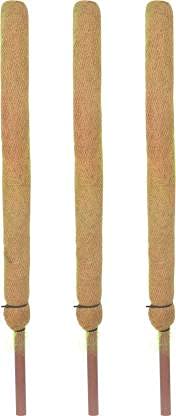 Coco Pole for Climbing Indoor/Money Plants,4 feet, Pack of 2-image-33