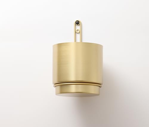 Pots de fleurs muraux à arrosage automatique suspendus intérieurs