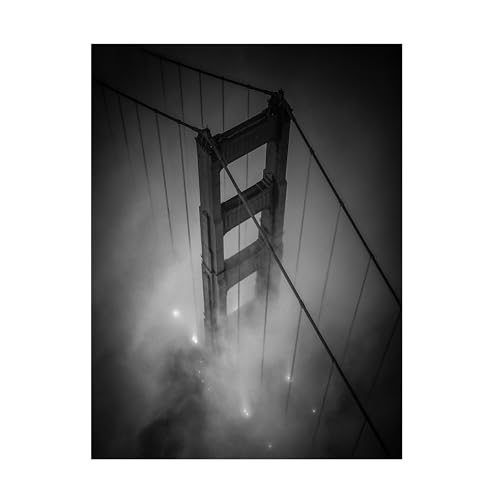 Trademark Fine Art Canvas Wall Art - Toby Harriman 'Golden Black' Wall Art for Living Room, Bedroom, or Office Décor