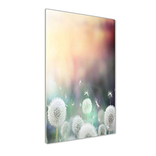 Déco mural derrière le plastique Tulup 60x120 : illuminez vos murs sombres