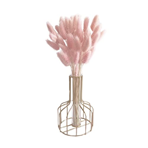 Dried Bunny Tail Flower Bouquet Natural 50 cm 50 pcs miniatura 1