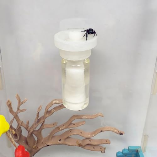 Jumping Spider Water Dispenser, Magnetic Hanging Feeder,Suitable for Jumping Spiders,Tarantulas, Praying Mantises,Arboreal Animals, and Other Small Animal Enclosure Accessories (Transparent, 10ML) by Daerky - Used condition - US$8.00