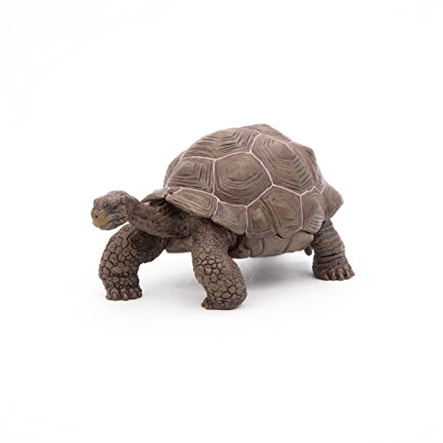 Papo - Figurines A Collectionner - Tortue Des Galapagos - Animaux Sauvages - Convient Aux Enfants - Filles Et Garçons - A Partir De 3 Ans – vue 8