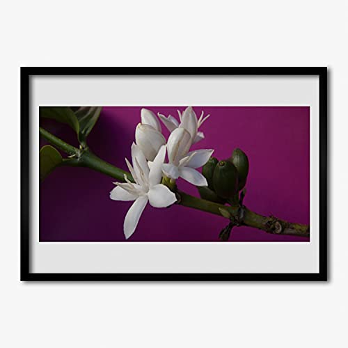 Affiche encadrée 70x50 cm avec cadre en MDF Tulup au motif de fleurs et plante nature