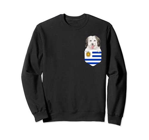 Uruguay Flag Coton de Tulear Dog In Pocket Sweatshirt, Black