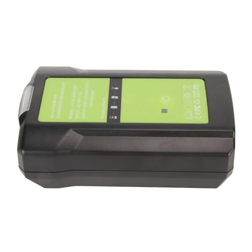 Chargeur de batterie lithium-ion 40 V pour l'entretien du jardin