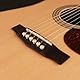 CORT EARTH100 NS