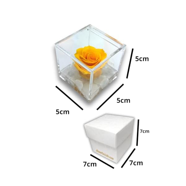PREMIUM ROSE - Cubo Rosa Stabilizzata Gialla 5 cm con Marmo di Carrara - Rosa Eterna Stabilizzata Made in Italy - Idea per Amici, Colleghi e Bomboniere - Giallo A 1053 - immagine 5