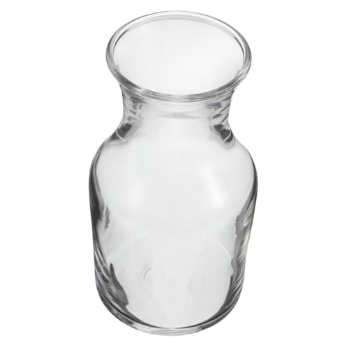 Alipis Caraffa Per Vino Singola Porzione in Vetro Trasparente Piccola Brocca Per Servire Vino Unico Decanter Per Bevande Fredde Per Frutta Sake Birra