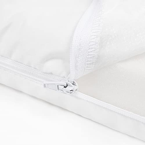 Julius Zöllner, materassino attività