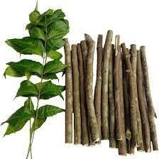 Neem Datun Toothbrush Twigs, Organic Pack of 15 Sticks image 2