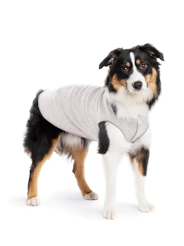 Goldpaw Sun Shield Tee for Dogs and Cats - UV Protection UPF50+ Cooling - Great for Anxiety, Allergies, Wound Care, Hairless Pets - Machine Wash, Quick Dry (Pebble, 14)